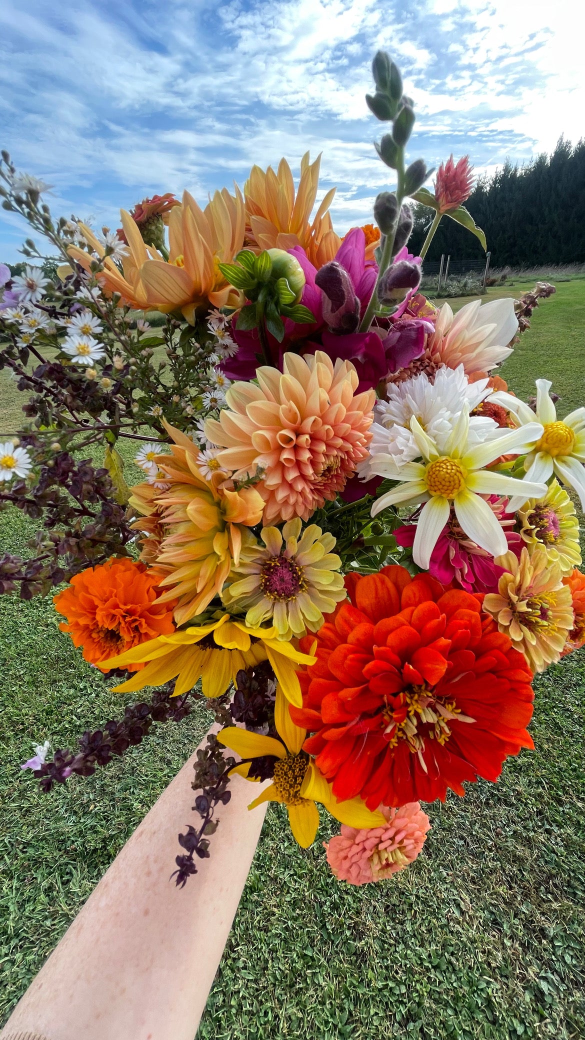 Custom Arrangement