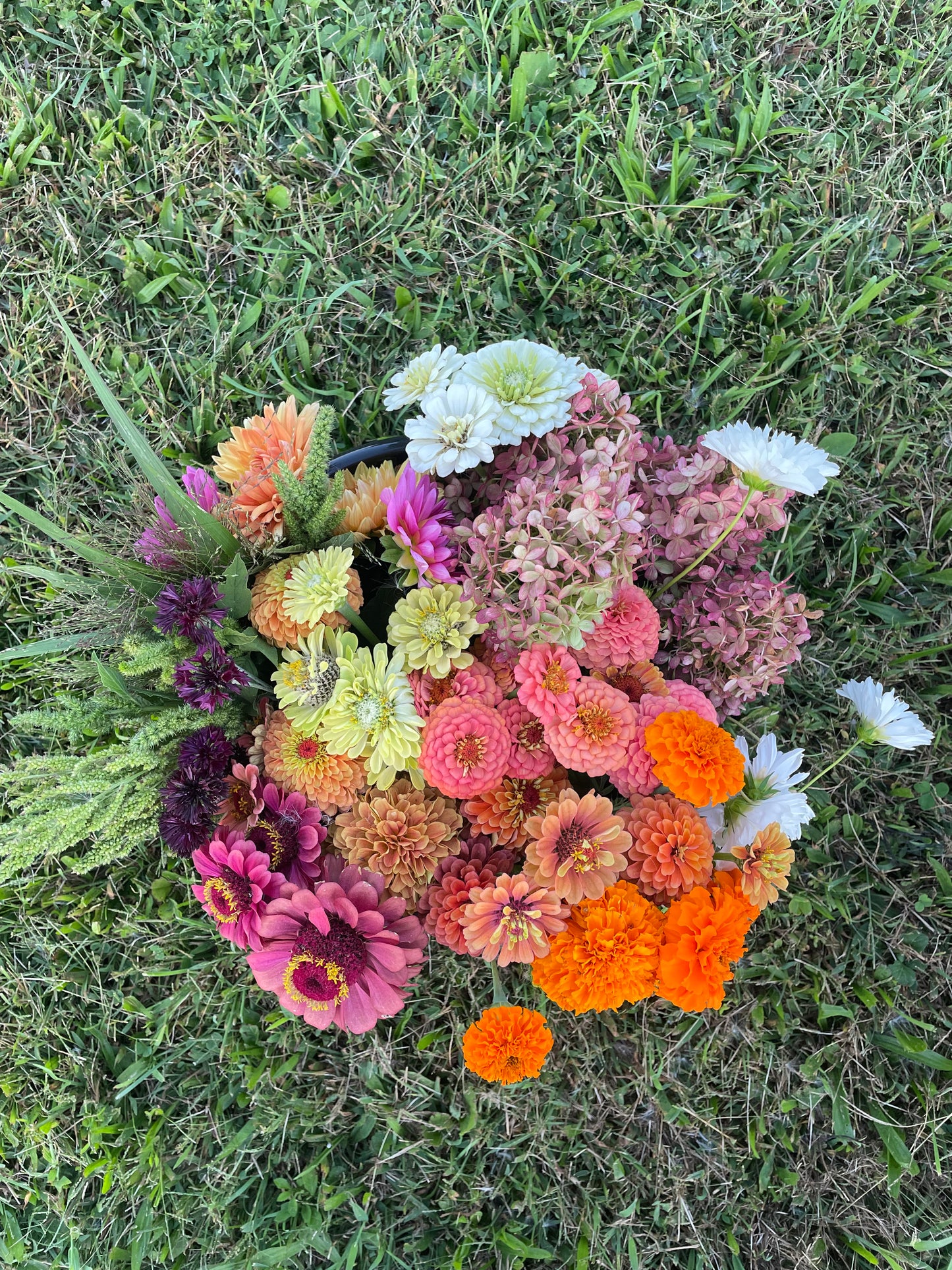 Bucket of Blooms