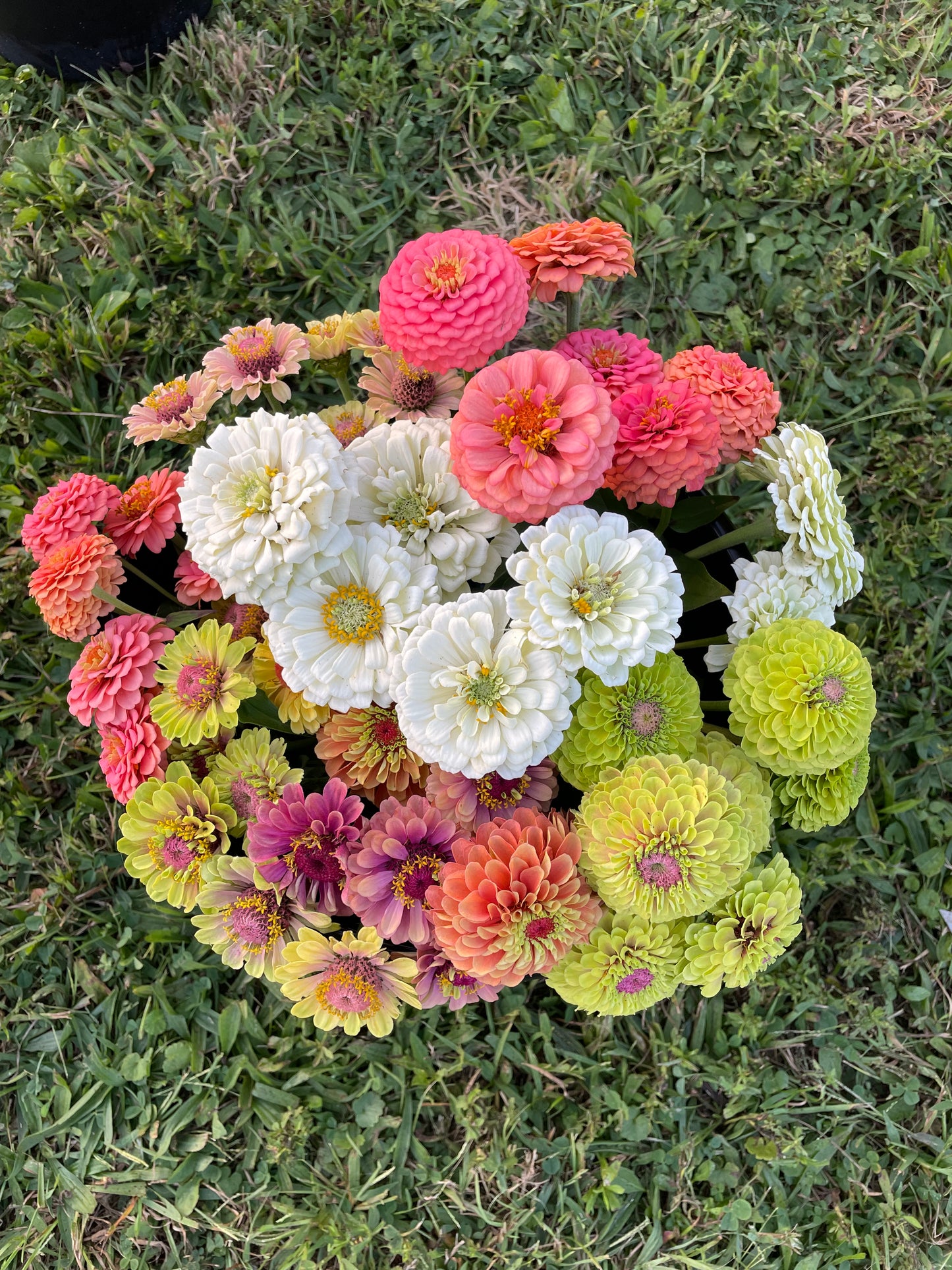 Bucket of Blooms