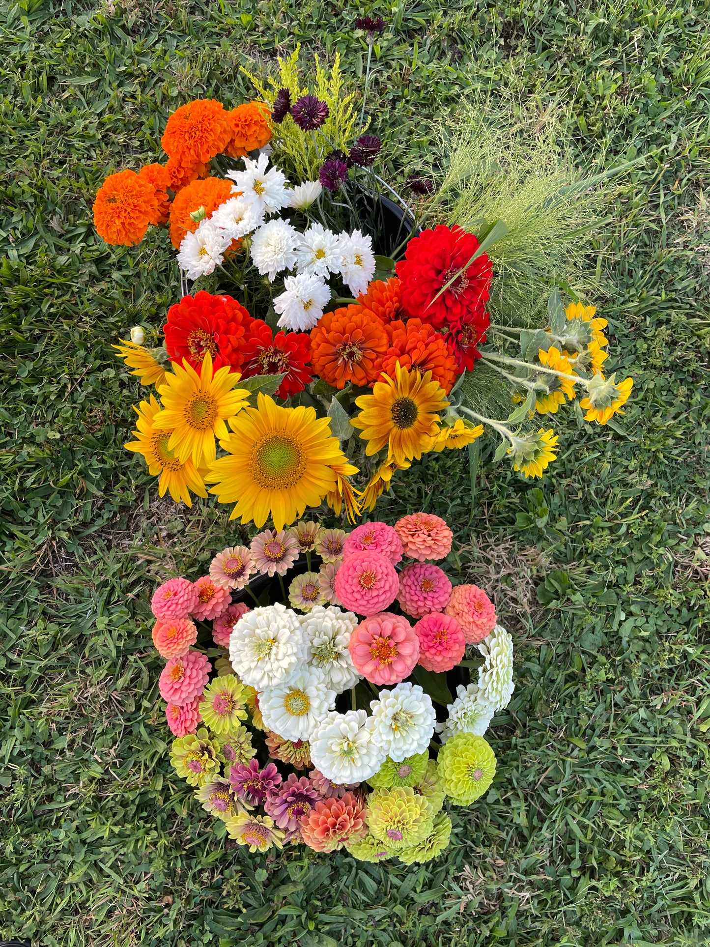 Bucket of Blooms