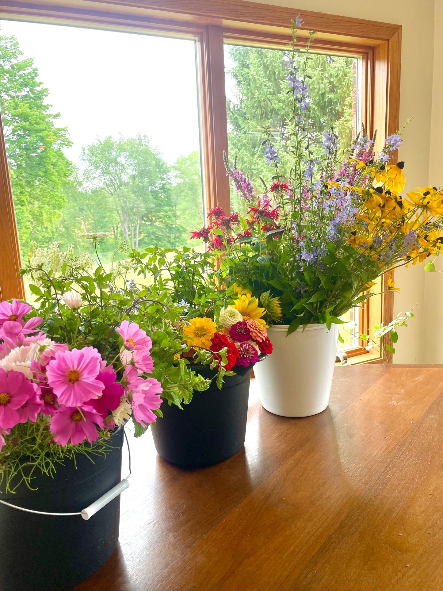 Bucket of Blooms