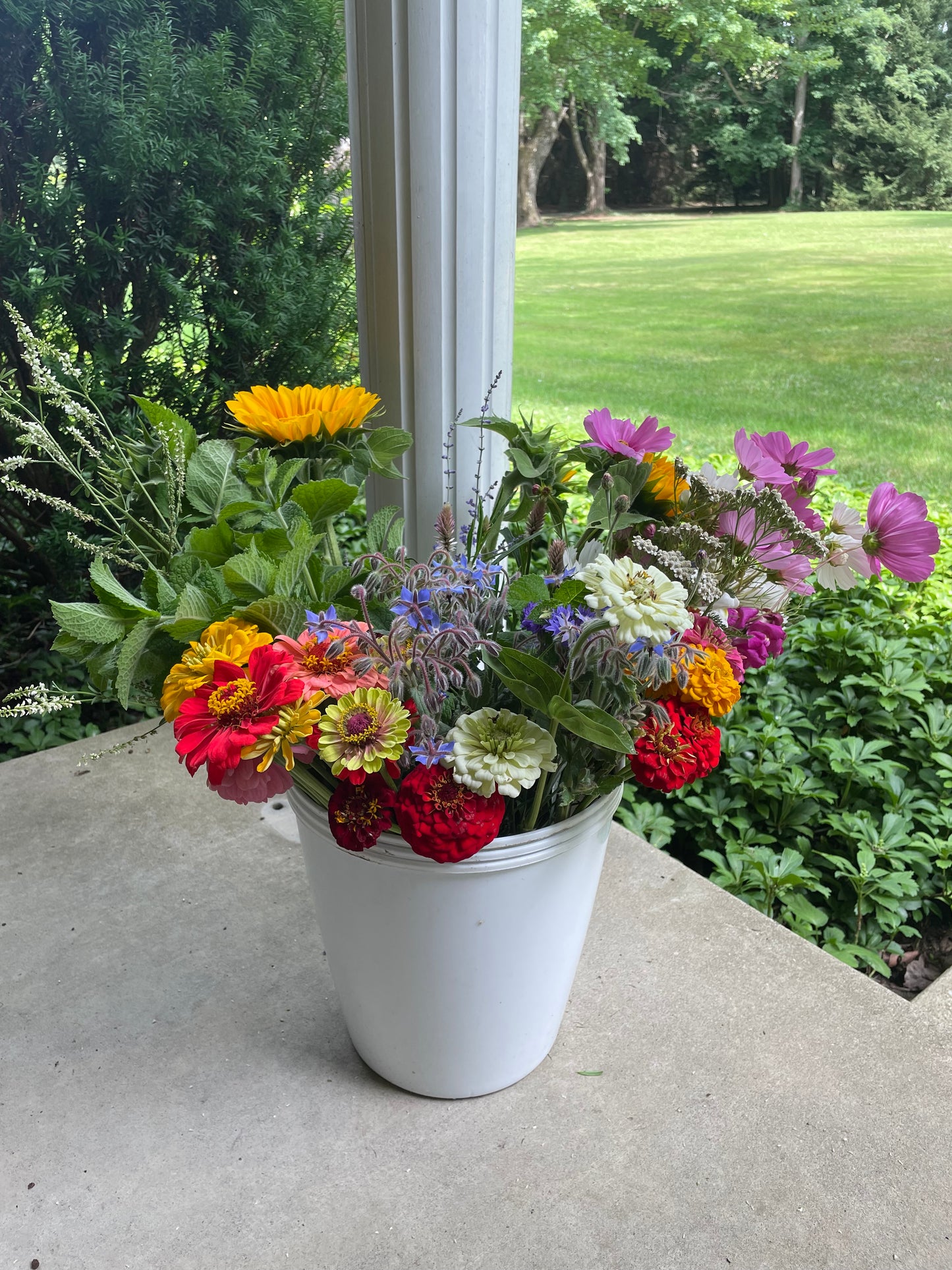 Bucket of Blooms