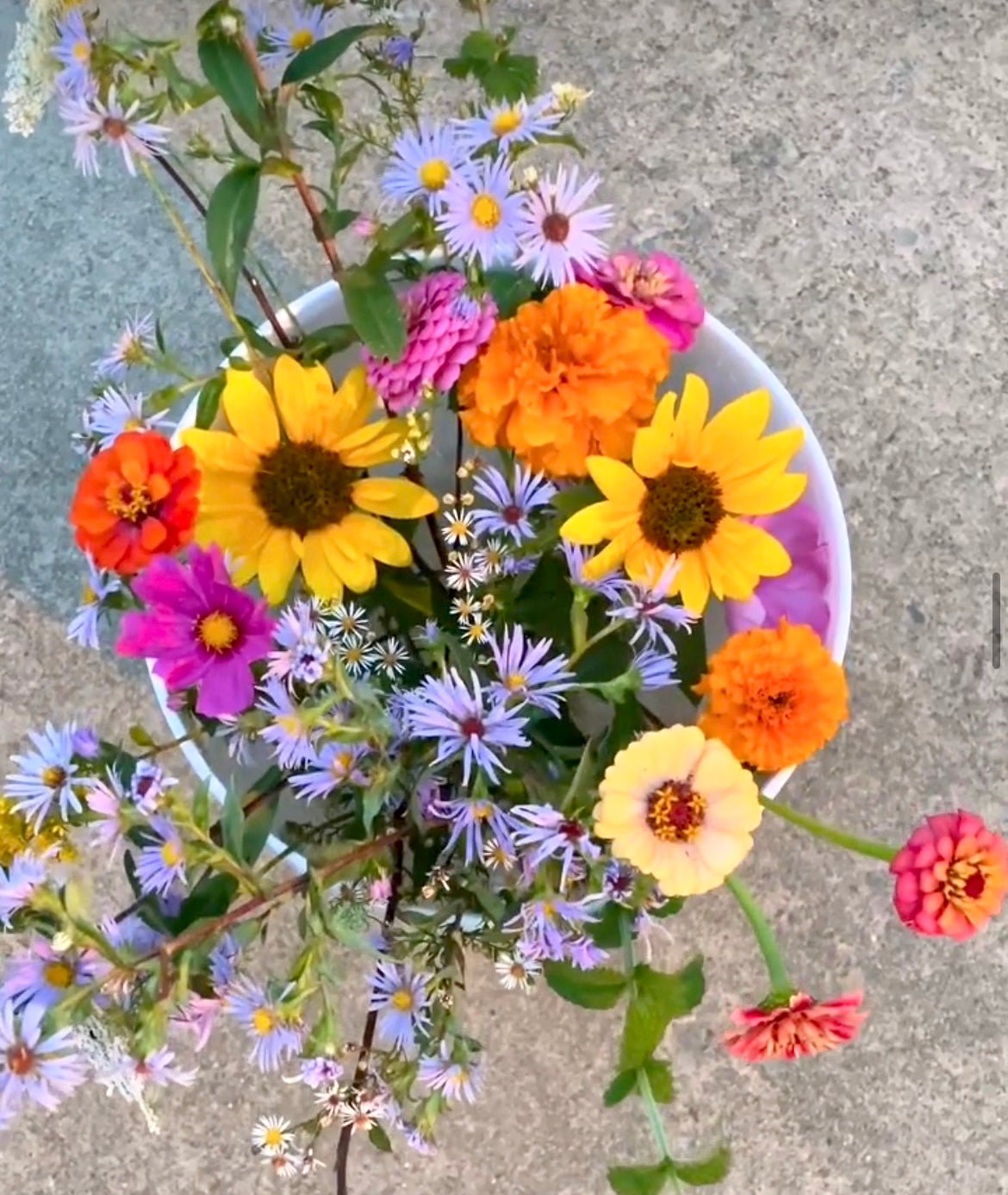 Bucket of Blooms