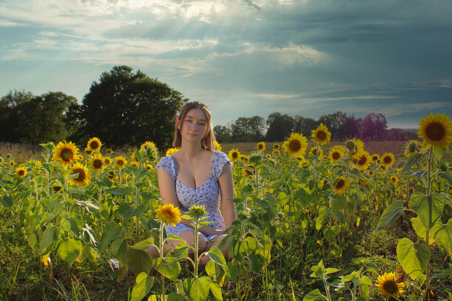 Photography at Fifty Acre Flowers