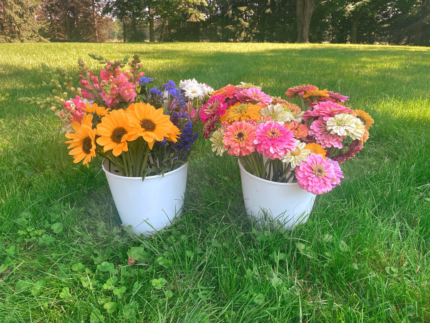 Bucket of Blooms