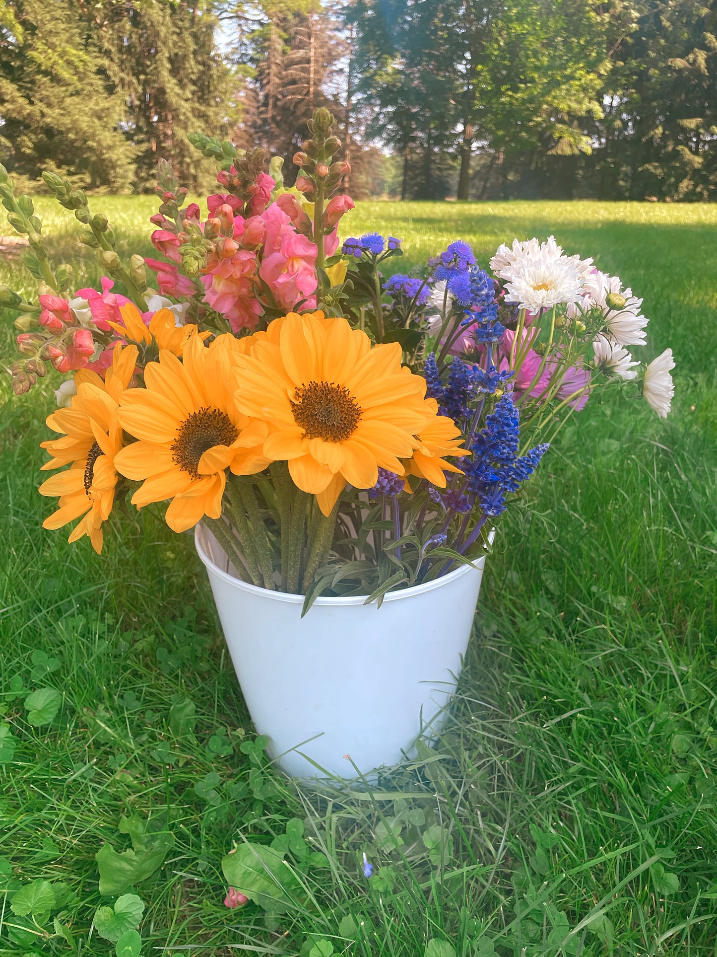 Bucket of Blooms