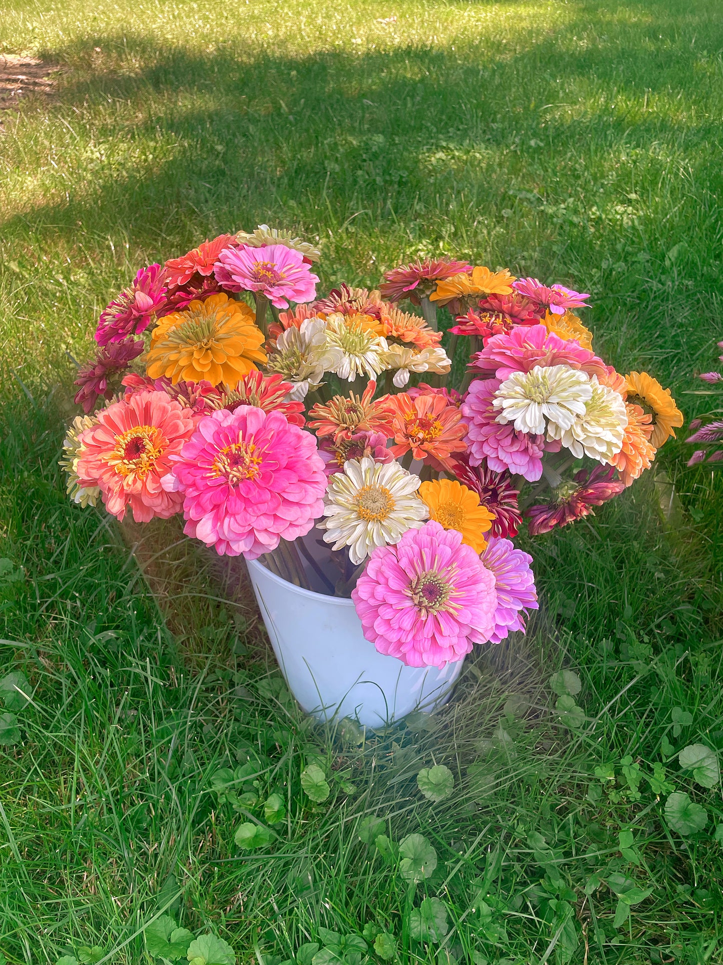 Bucket of Blooms