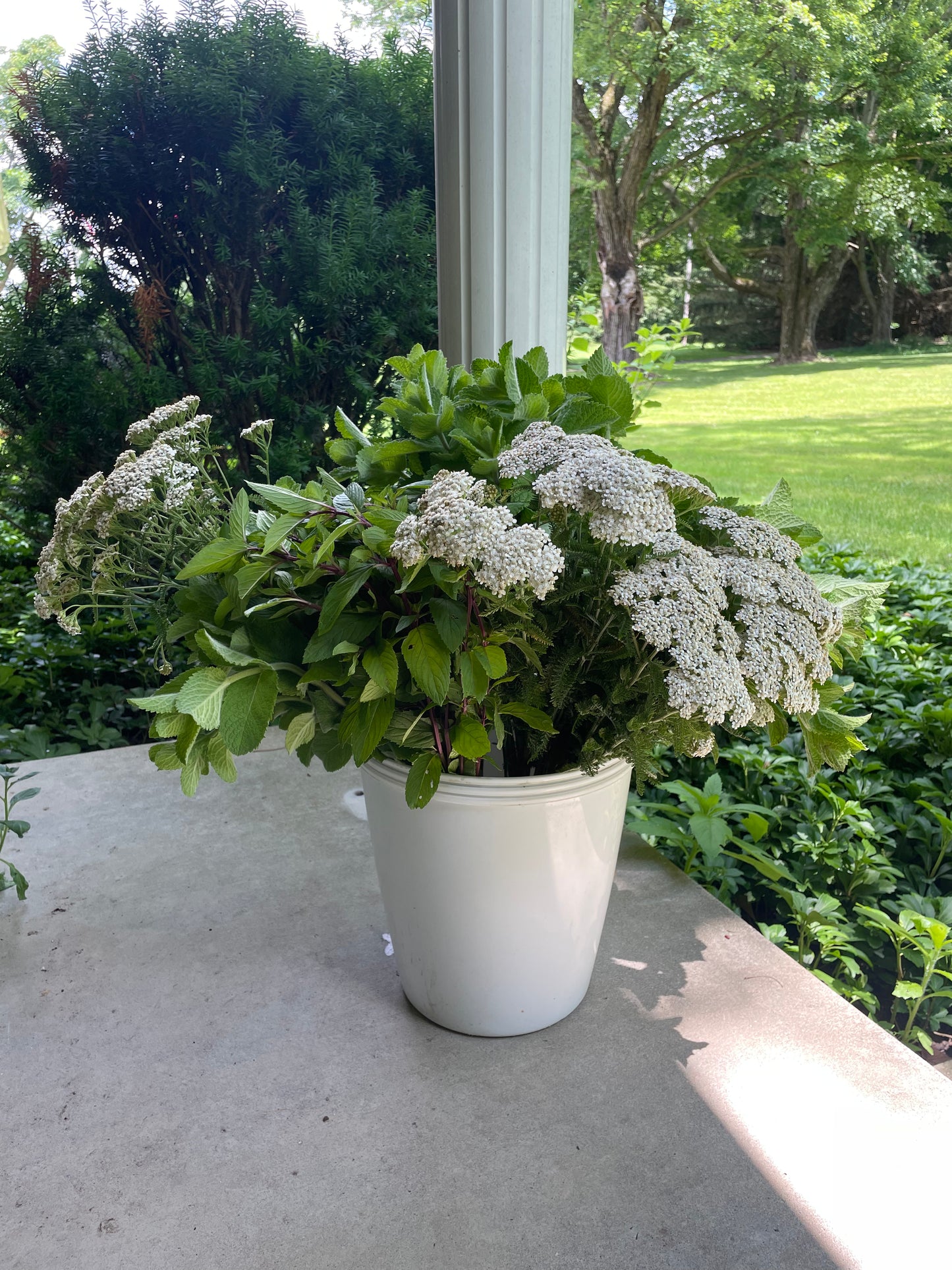 Bucket of Blooms