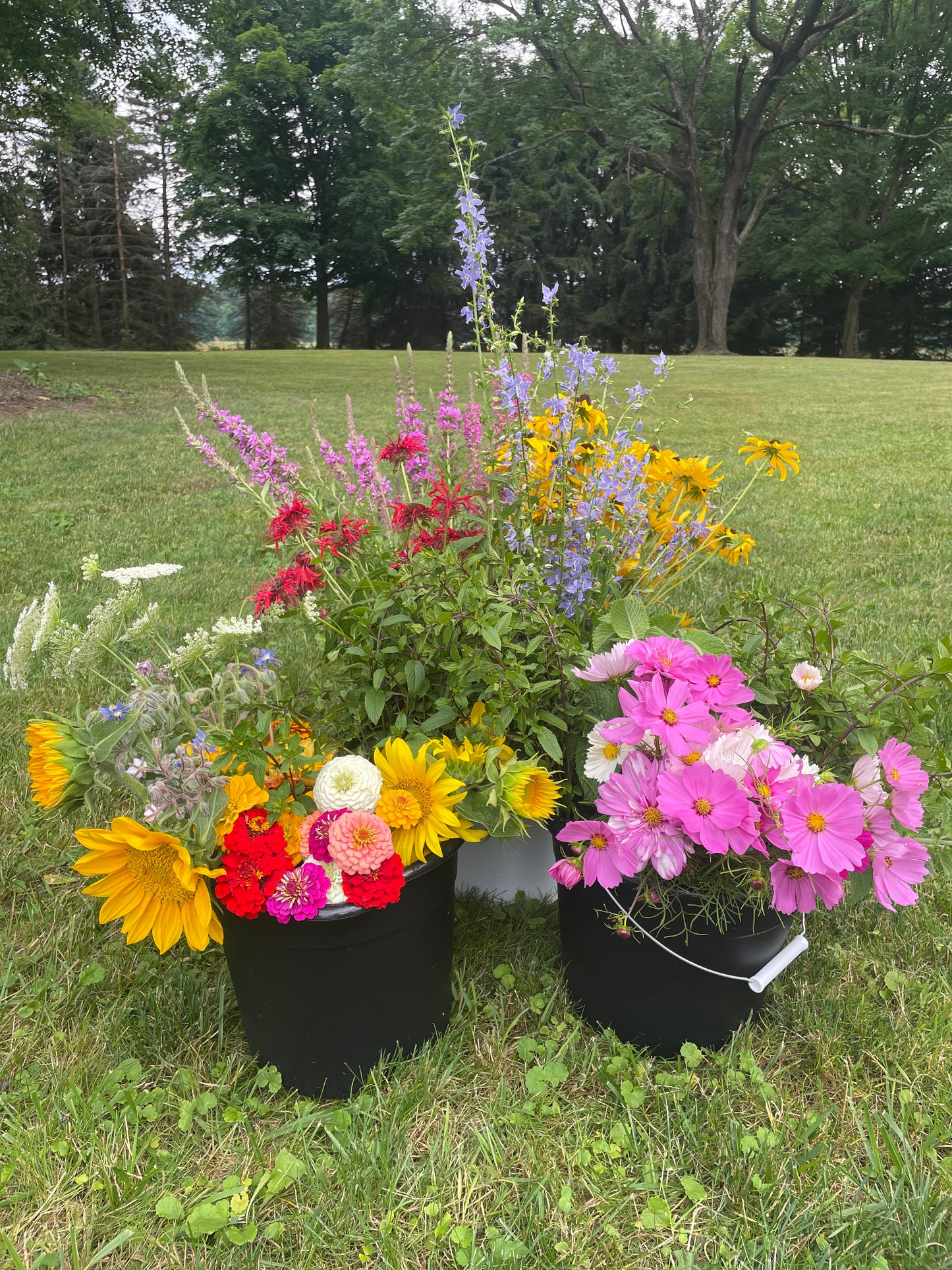 Bucket of Blooms