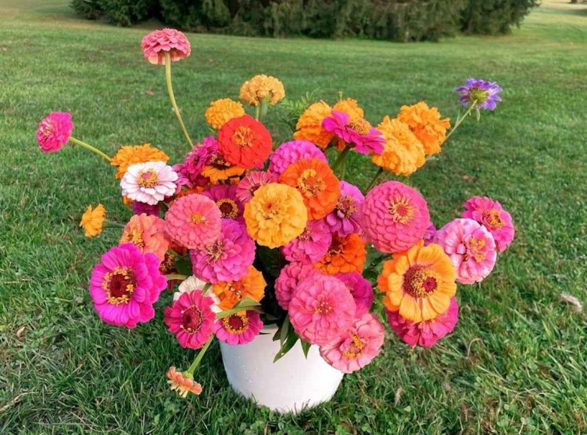 Bucket of Blooms