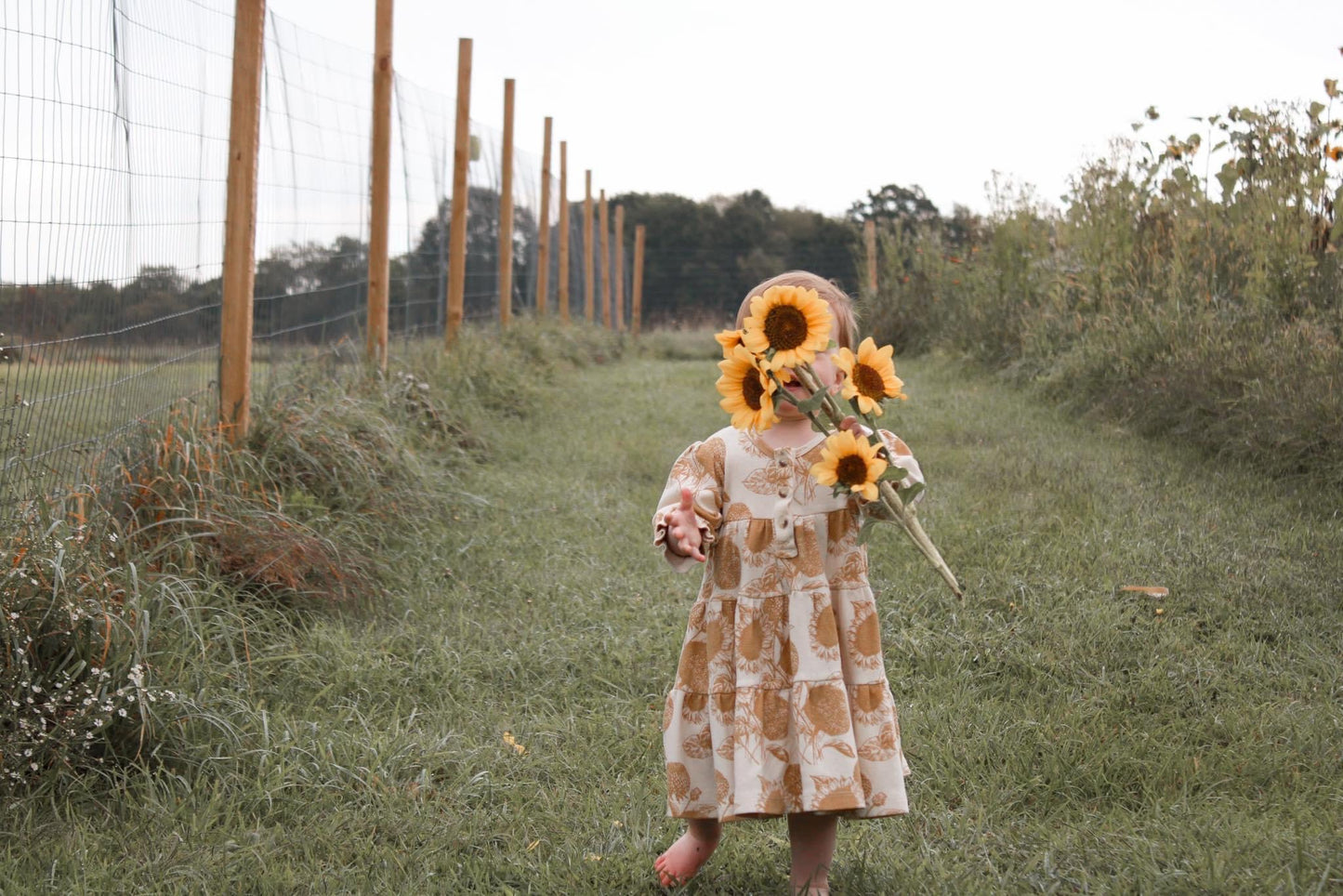 Photography at Fifty Acre Flowers